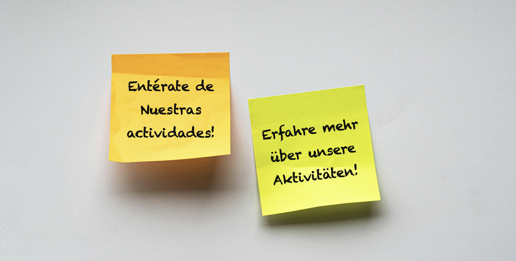 Erfahre mehr über unsere Aktivitäten!